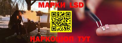 шишки Брянск