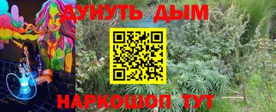 шишки Брянск