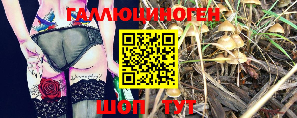 Галлюциногенные грибы ЛСД  Галлюциногенные грибы мухоморы  Городец  Вход с VPN 