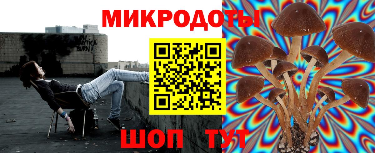 Галлюциногенные грибы прущие грибы Городец